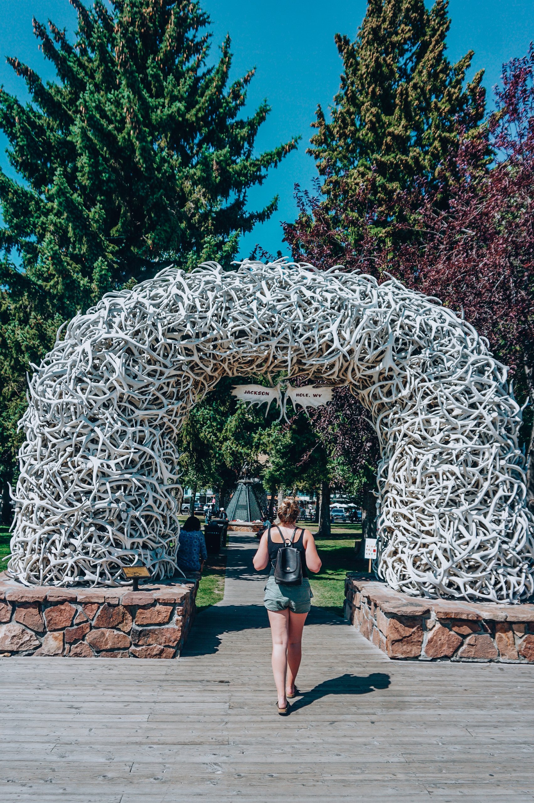 Lodges In Jackson Hole Wyoming