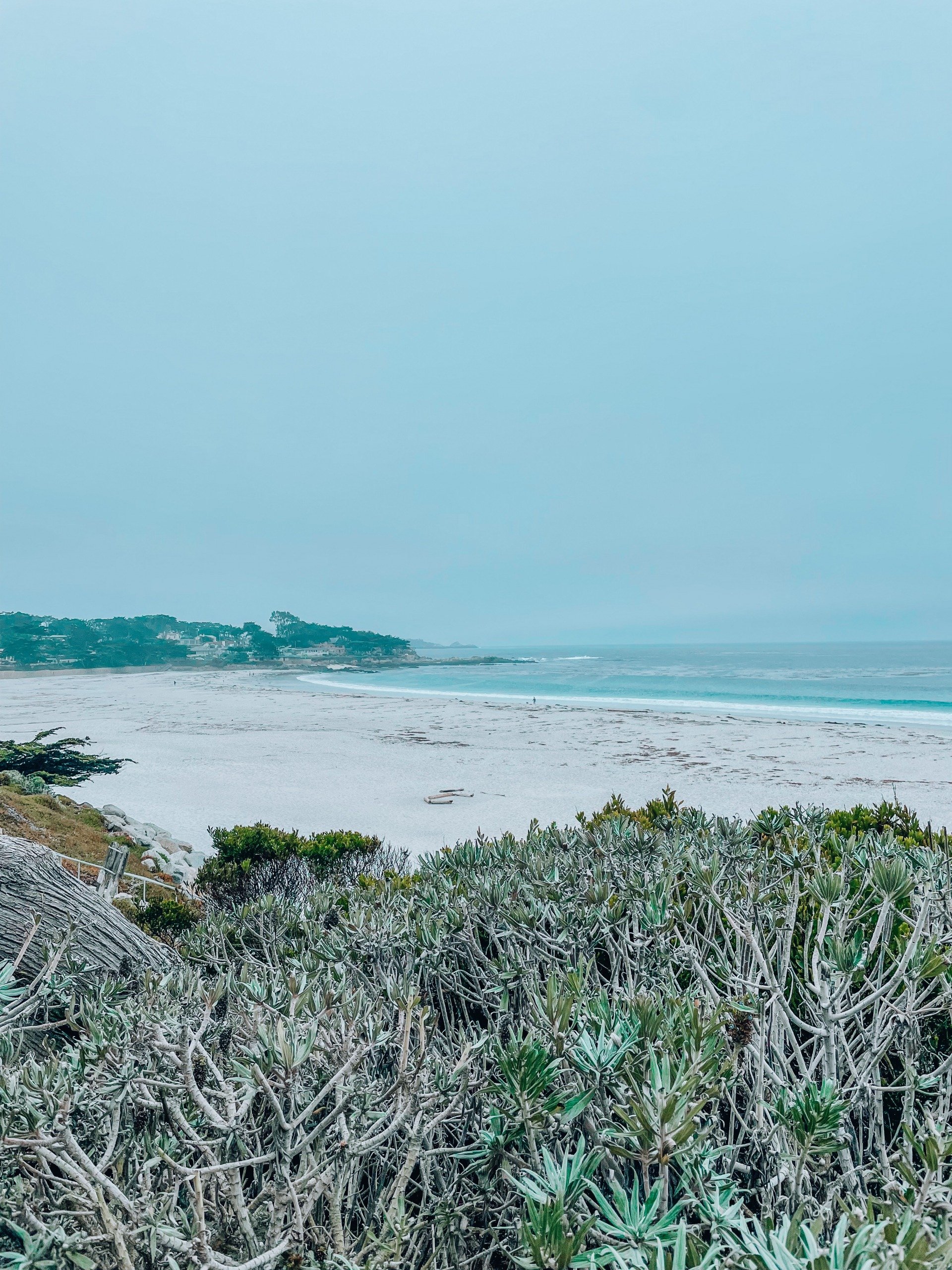 20 Best Things To Do In Carmel By The Sea - The Traveling Spud