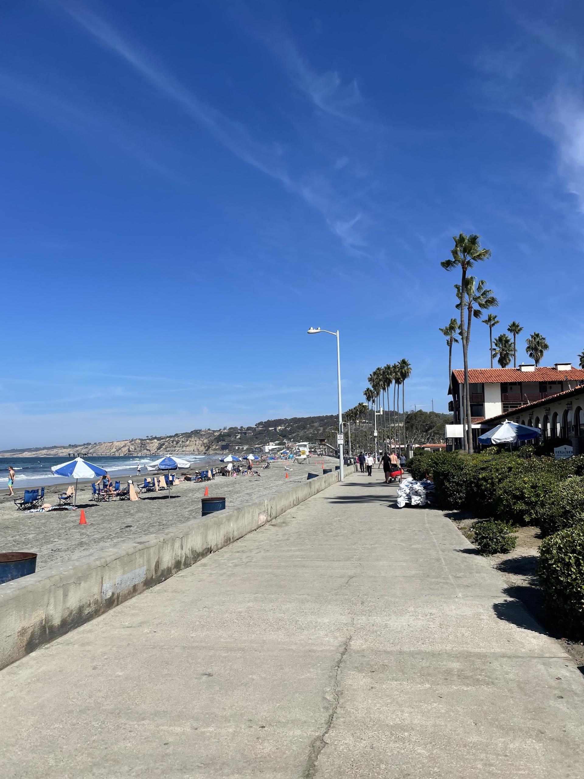 La Jolla Travel Guide: Where to Eat, Stay, and Play